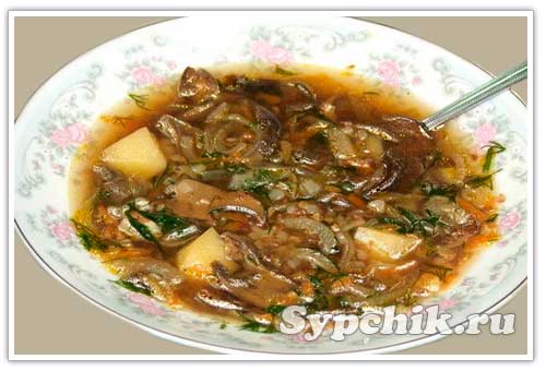 Рецепт приготовления супа из сушеных грибов с фото